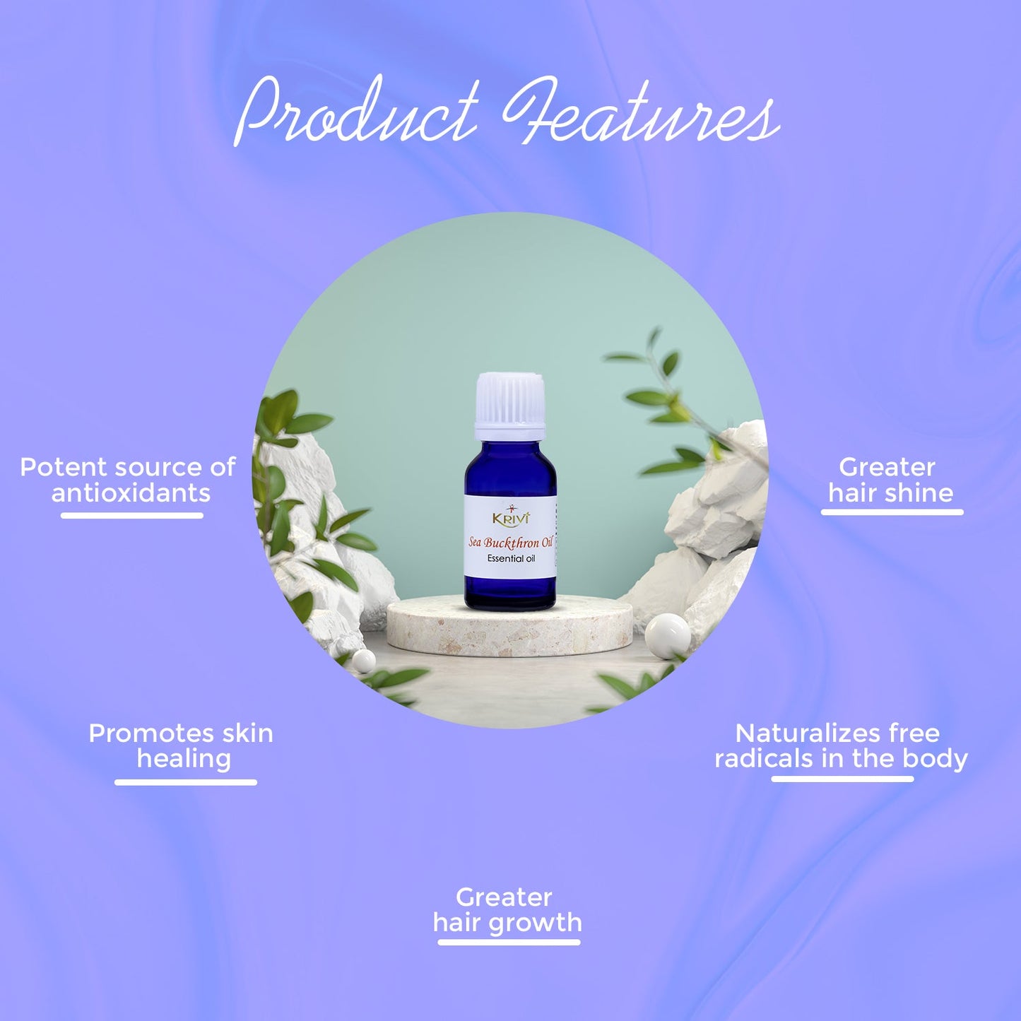 Krivi Sea Buckthron Essential Oil 15ml (Pack of 1)